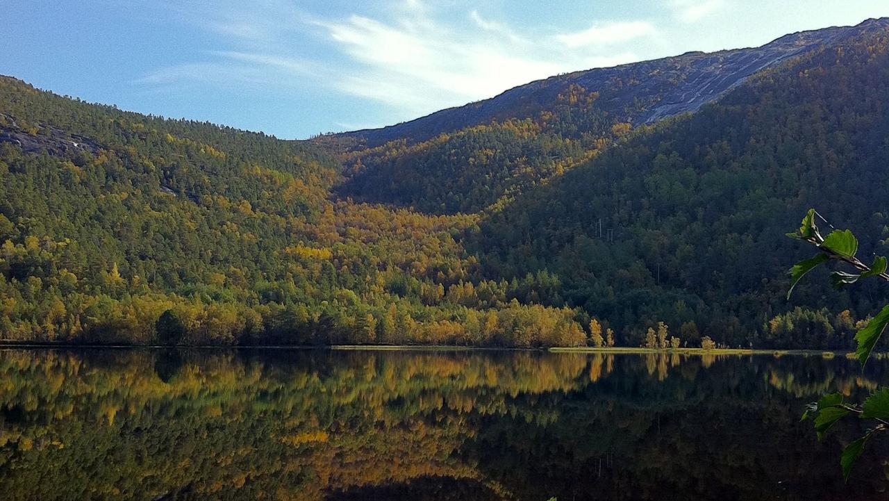 Tommerneset Camping Hotel Innhavet Екстериор снимка