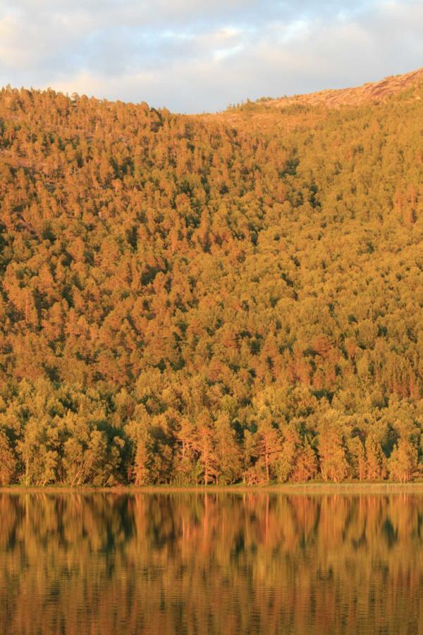 Tommerneset Camping Hotel Innhavet Екстериор снимка